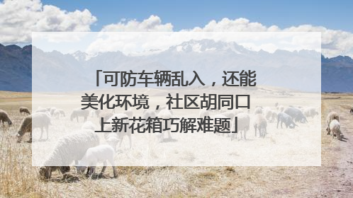 可防车辆乱入，还能美化环境，社区胡同口上新花箱巧解难题