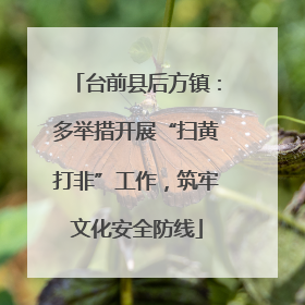 台前县后方镇：多举措开展“扫黄打非”工作，筑牢文化安全防线