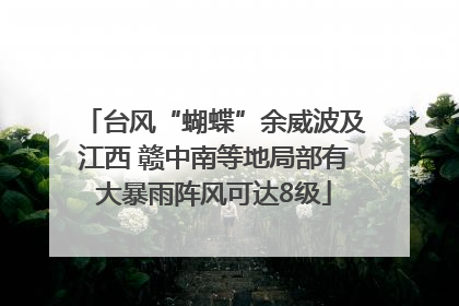 台风“蝴蝶”余威波及江西 赣中南等地局部有大暴雨阵风可达8级