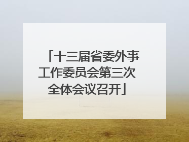 十三届省委外事工作委员会第三次全体会议召开