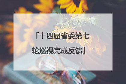 十四届省委第七轮巡视完成反馈