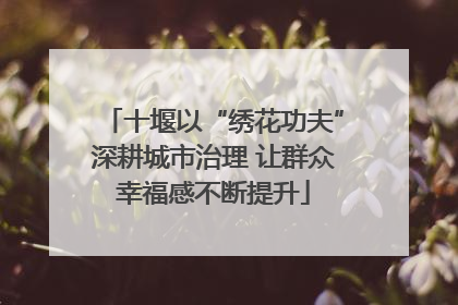 十堰以“绣花功夫”深耕城市治理 让群众幸福感不断提升