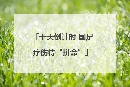 十天倒计时 国足疗伤待“拼命”