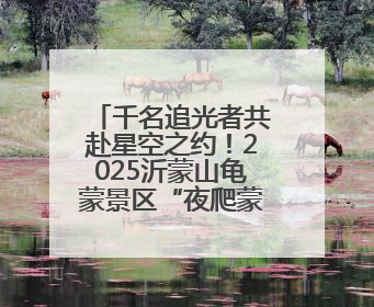 千名追光者共赴星空之约！2025沂蒙山龟蒙景区“夜爬蒙山”活动举行
