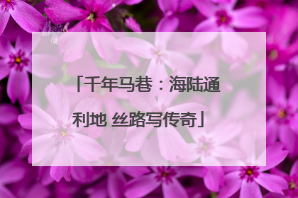 千年马巷：海陆通利地 丝路写传奇