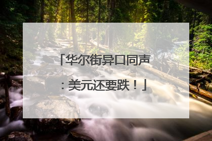 华尔街异口同声：美元还要跌！