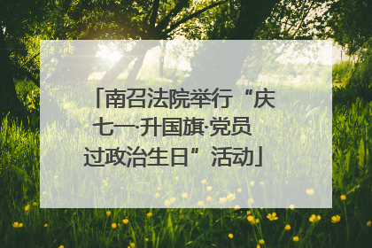 南召法院举行“庆七一·升国旗·党员过政治生日”活动
