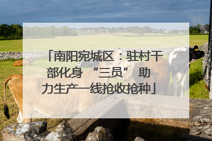 南阳宛城区：驻村干部化身 “三员” 助力生产一线抢收抢种