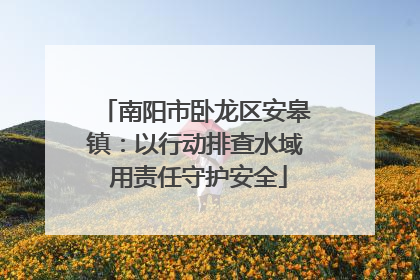南阳市卧龙区安皋镇：以行动排查水域 用责任守护安全