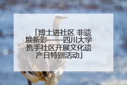 博士进社区 非遗焕新彩——四川大学携手社区开展文化遗产日特别活动