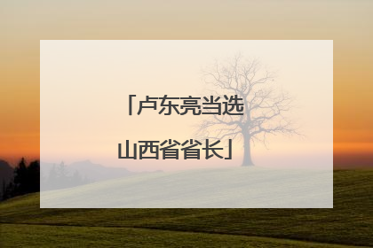 卢东亮当选山西省省长