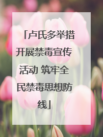 卢氏多举措开展禁毒宣传活动 筑牢全民禁毒思想防线