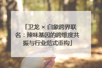 卫龙 × 白象跨界联名：辣味基因的跨维度共振与行业范式重构