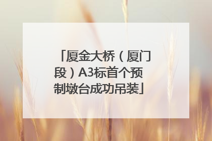 厦金大桥（厦门段）A3标首个预制墩台成功吊装