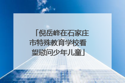 倪岳峰在石家庄市特殊教育学校看望慰问少年儿童