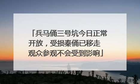 兵马俑三号坑今日正常开放，受损秦俑已移走 观众参观不会受到影响