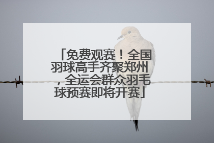 免费观赛！全国羽球高手齐聚郑州，全运会群众羽毛球预赛即将开赛