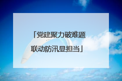 党建聚力破难题 联动防汛显担当