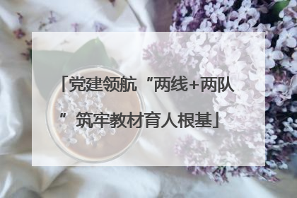 党建领航“两线+两队”筑牢教材育人根基