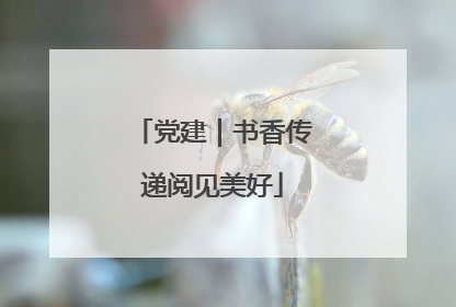 党建｜书香传递阅见美好