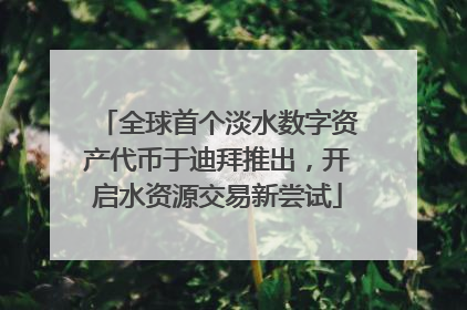 全球首个淡水数字资产代币于迪拜推出，开启水资源交易新尝试