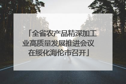 全省农产品精深加工业高质量发展推进会议在绥化海伦市召开