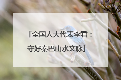 全国人大代表李君：守好秦巴山水文脉