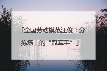 全国劳动模范汪俊：分拣场上的“冠军手”