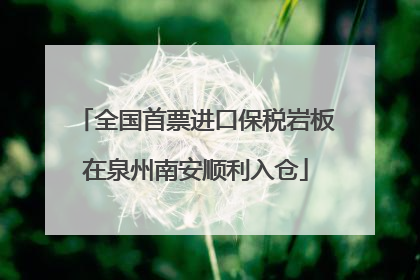 全国首票进口保税岩板在泉州南安顺利入仓