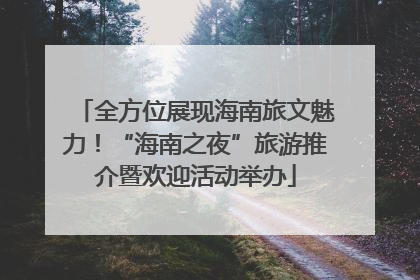 全方位展现海南旅文魅力！“海南之夜”旅游推介暨欢迎活动举办