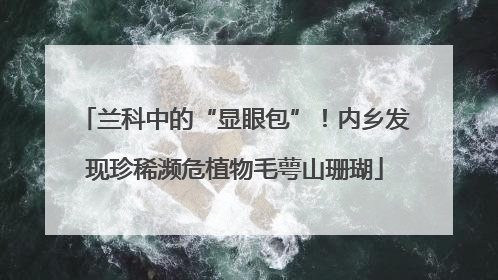兰科中的“显眼包”！内乡发现珍稀濒危植物毛萼山珊瑚