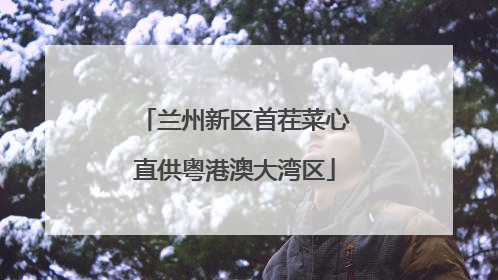 兰州新区首茬菜心直供粤港澳大湾区