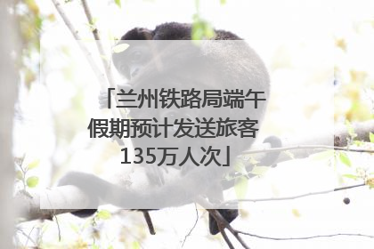兰州铁路局端午假期预计发送旅客135万人次