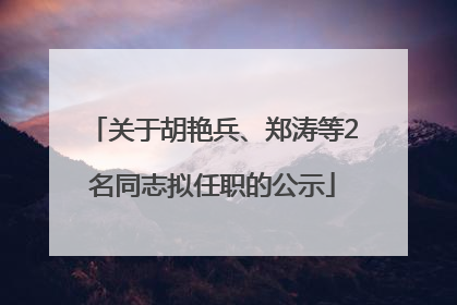 关于胡艳兵、郑涛等2名同志拟任职的公示