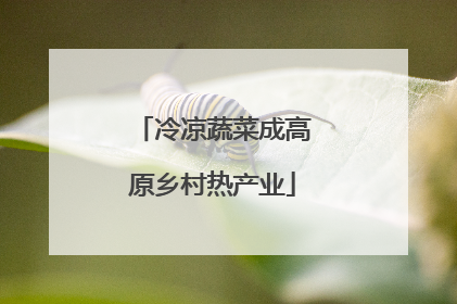 冷凉蔬菜成高原乡村热产业