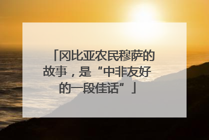 冈比亚农民穆萨的故事，是“中非友好的一段佳话”