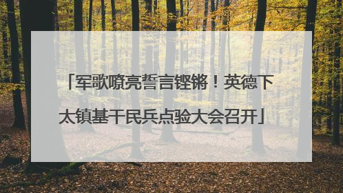 军歌嘹亮誓言铿锵！英德下太镇基干民兵点验大会召开
