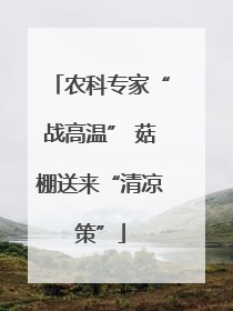 农科专家“战高温” 菇棚送来“清凉策”
