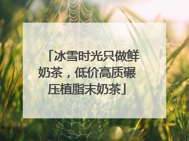 冰雪时光只做鲜奶茶，低价高质碾压植脂末奶茶