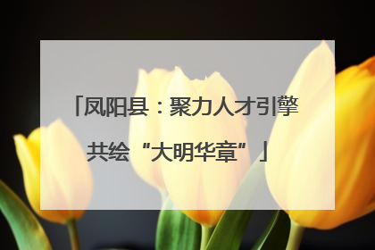 凤阳县：聚力人才引擎 共绘“大明华章”