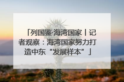 列国鉴·海湾国家丨记者观察：海湾国家努力打造中东“发展样本”