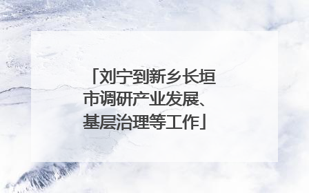 刘宁到新乡长垣市调研产业发展、基层治理等工作