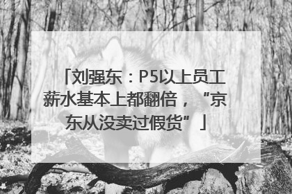 刘强东：P5以上员工薪水基本上都翻倍，“京东从没卖过假货”