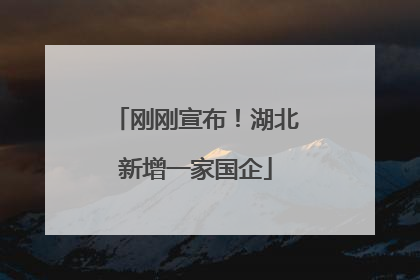刚刚宣布！湖北新增一家国企
