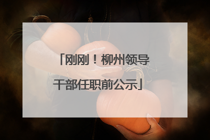 刚刚！柳州领导干部任职前公示
