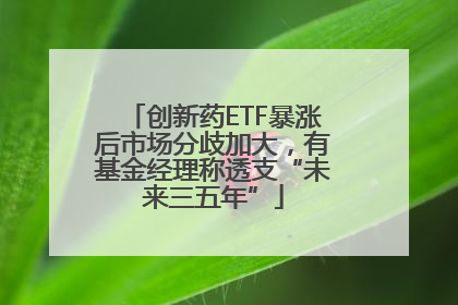 创新药ETF暴涨后市场分歧加大，有基金经理称透支“未来三五年”