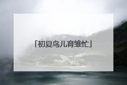 初夏鸟儿育雏忙