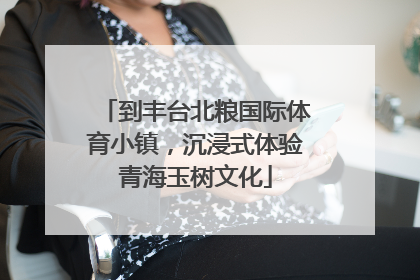 到丰台北粮国际体育小镇，沉浸式体验青海玉树文化