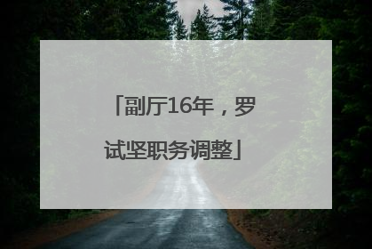 副厅16年，罗试坚职务调整