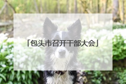 包头市召开干部大会
